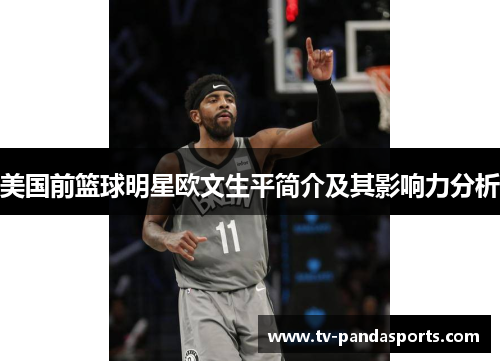 美国前篮球明星欧文生平简介及其影响力分析