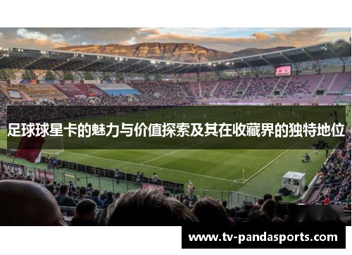 足球球星卡的魅力与价值探索及其在收藏界的独特地位