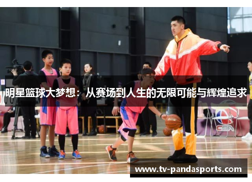 明星篮球大梦想：从赛场到人生的无限可能与辉煌追求