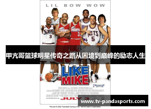 甲亢哥篮球明星传奇之路从困境到巅峰的励志人生